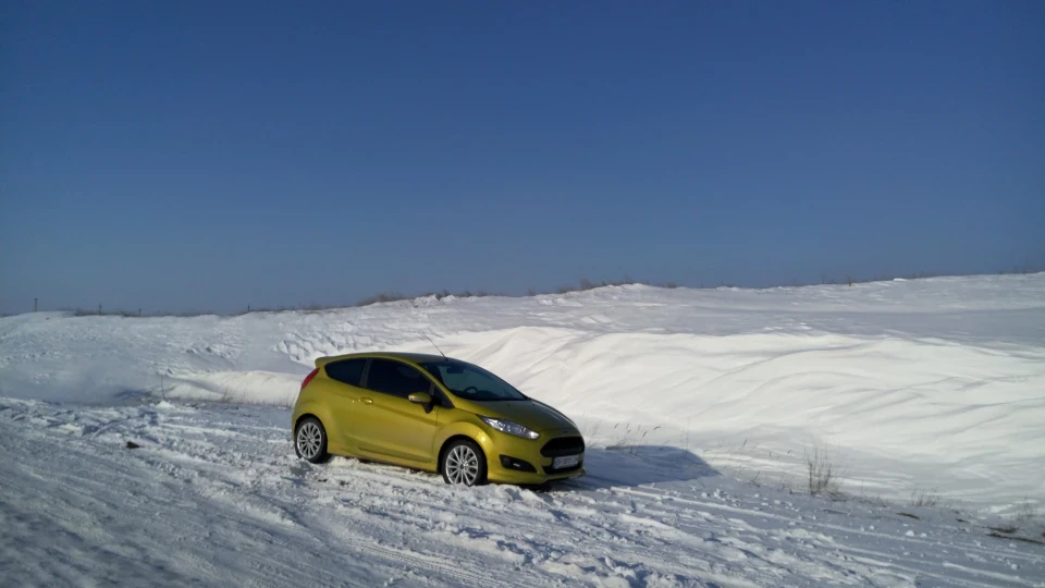Ford Fiesta Oliva 5
