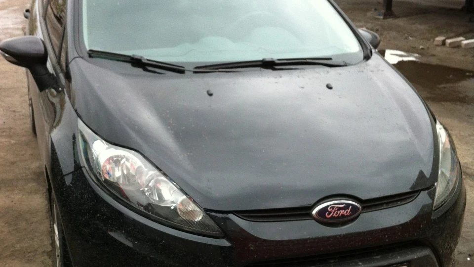 Ford Fiesta Panther black 2