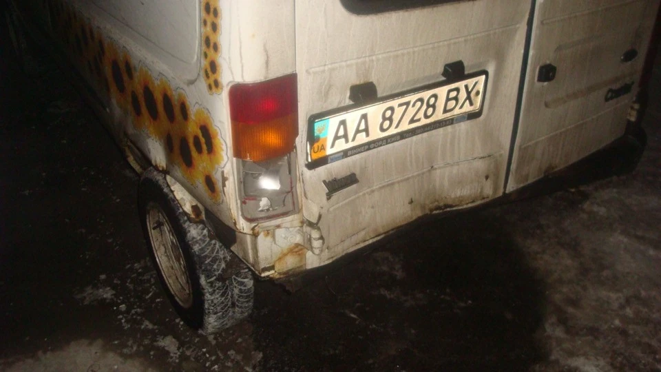 Ford Fiesta соняшник 2
