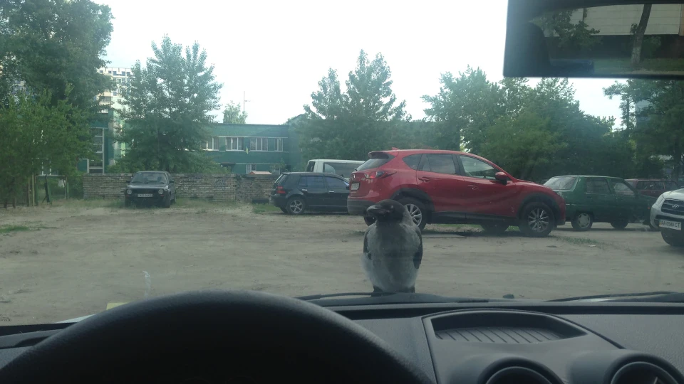 Рушник Ford Fiesta 2