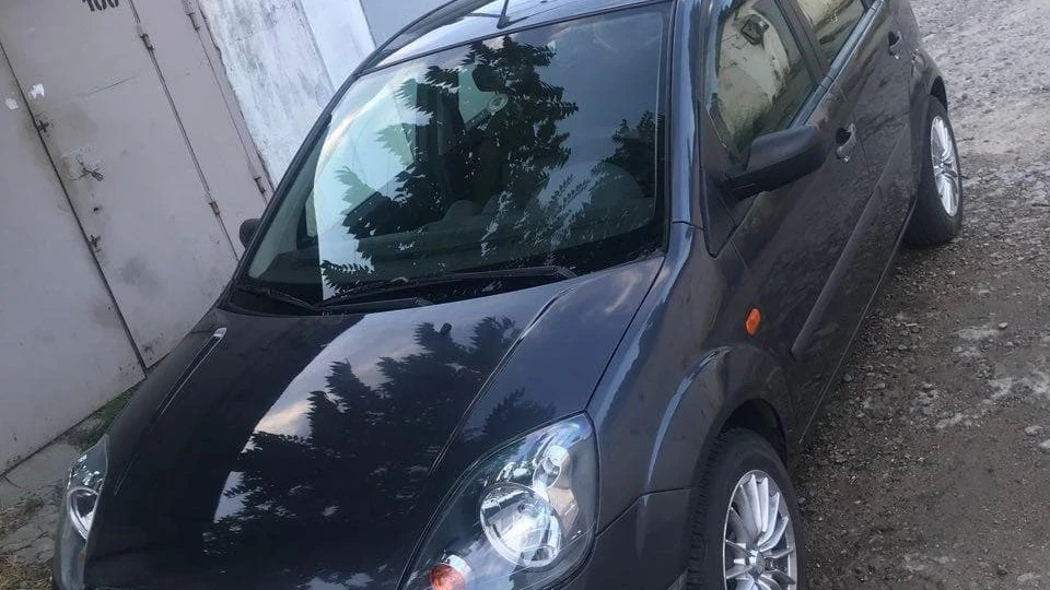 Ford Fiesta Шкарлупка 5