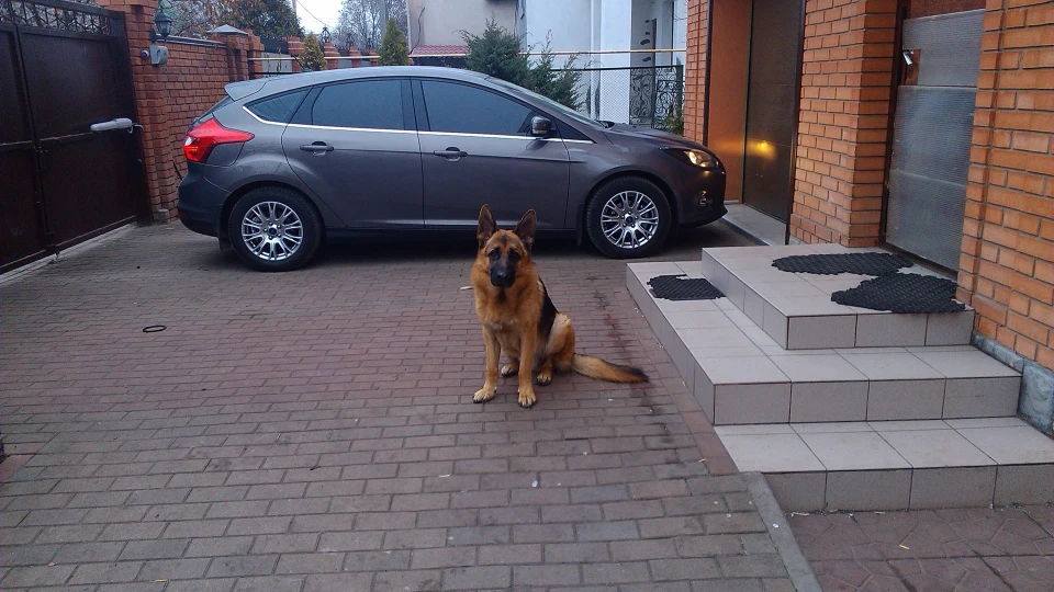 Ford Focus Hatchback 1.0 EcoBoost 125 л.с 2