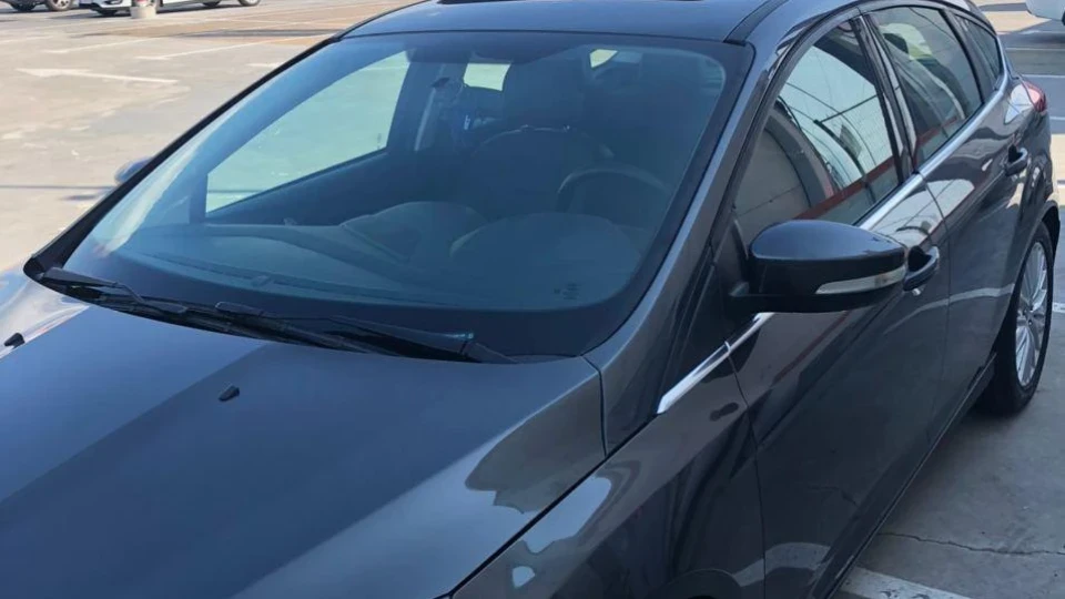 Ford Focus Hatchback Американська красуня 2