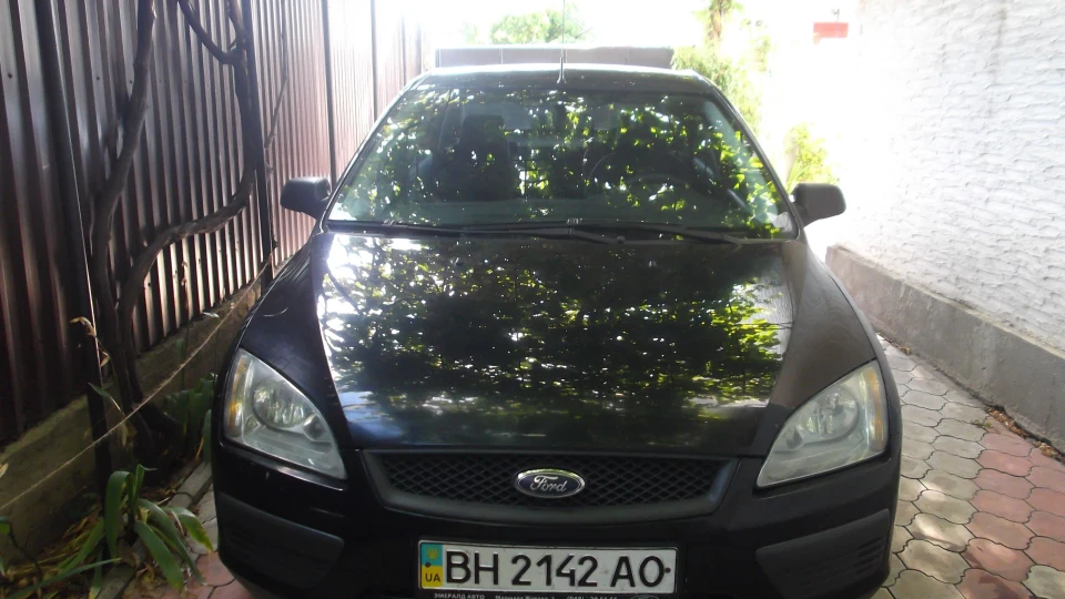 Ford Focus Hatchback Focusnik 2