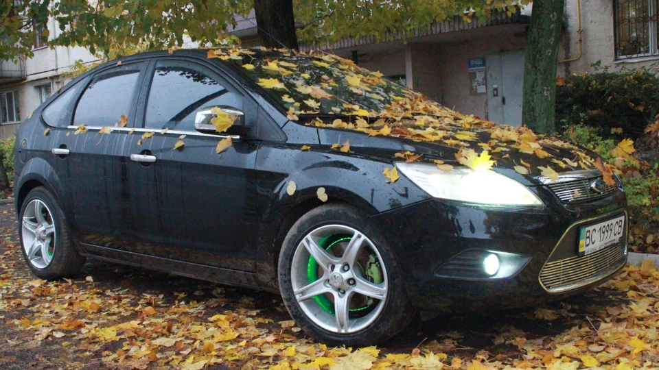 Ford Focus Hatchback робоче задоволення 2