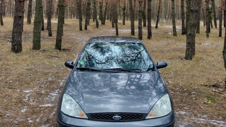 Ford Focus Hatchback ST100 5