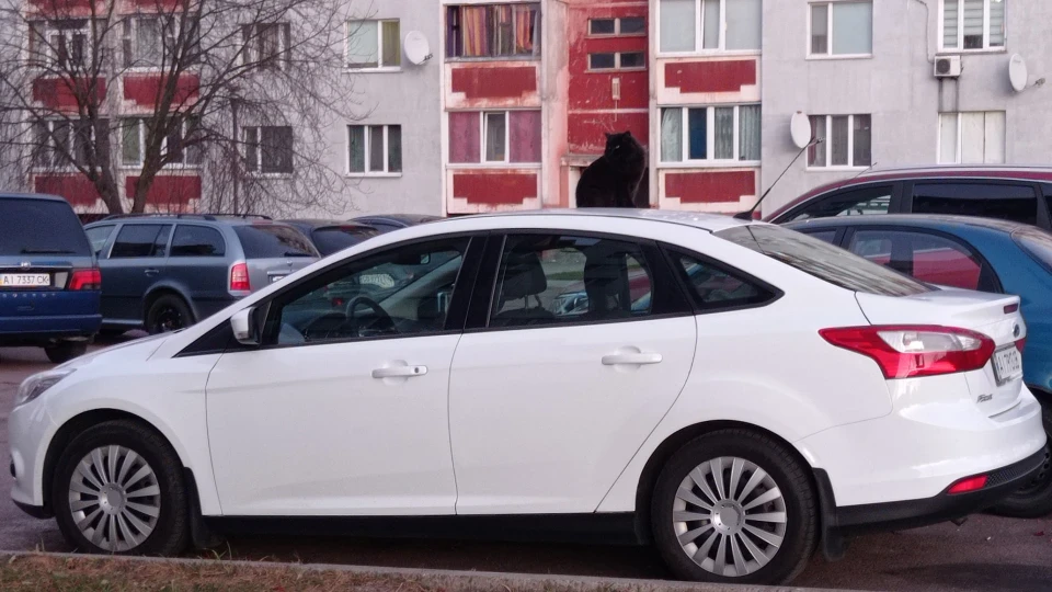 Ford Focus Sedan
