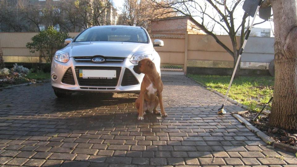 Ford Focus Sedan EcoBoost 1.6 turbo TITAN 2