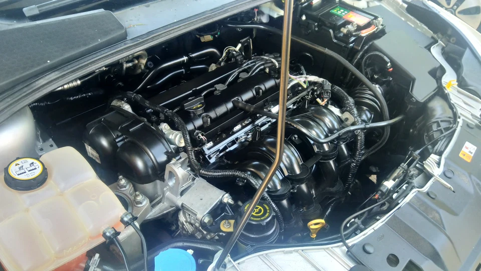 Ford Focus Wagon 4