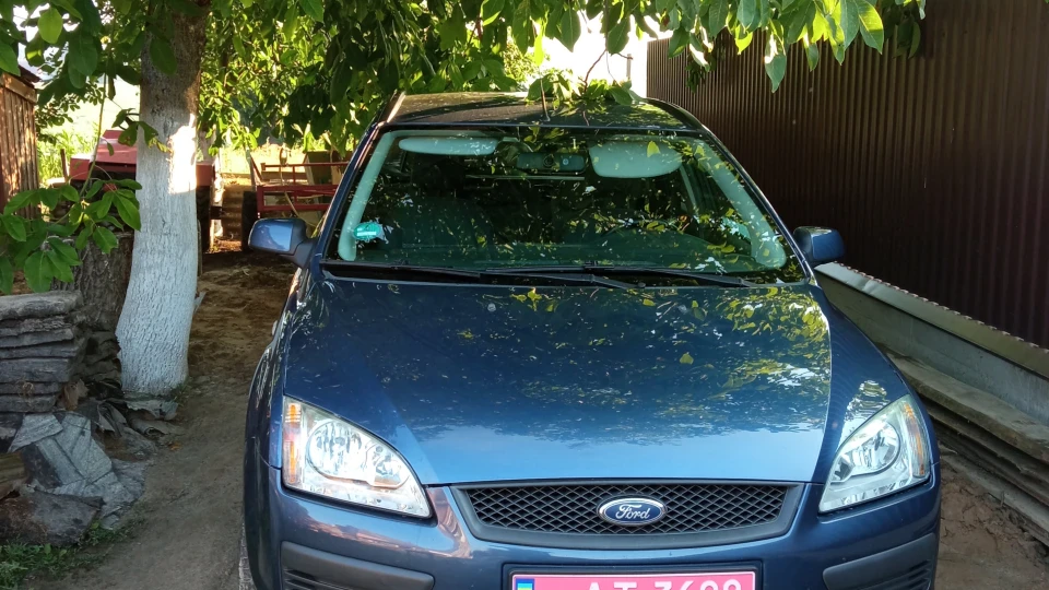 Ford Focus Wagon