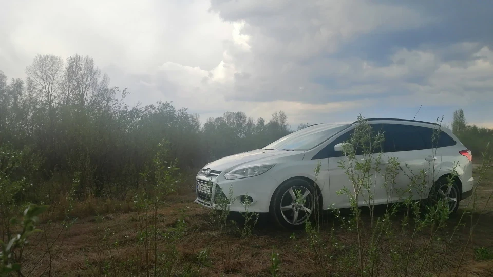 Ford Focus Wagon Frozen White