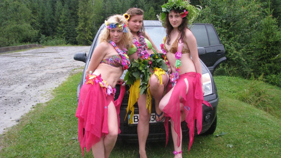 Ford Fusion Їжачок 4