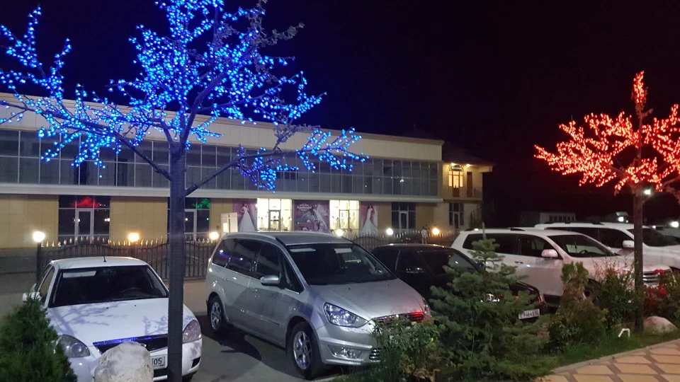 Ford Galaxy Срібна Галлактика 5