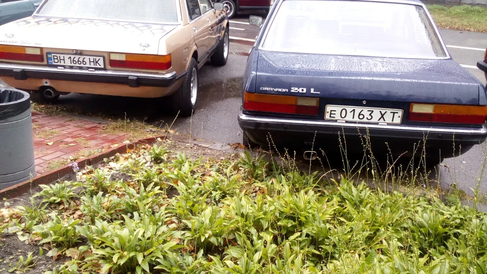Ford Granada синій 2.0v6 3