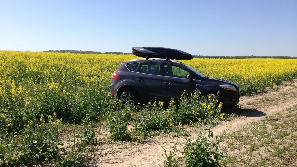 Ford Kuga 4