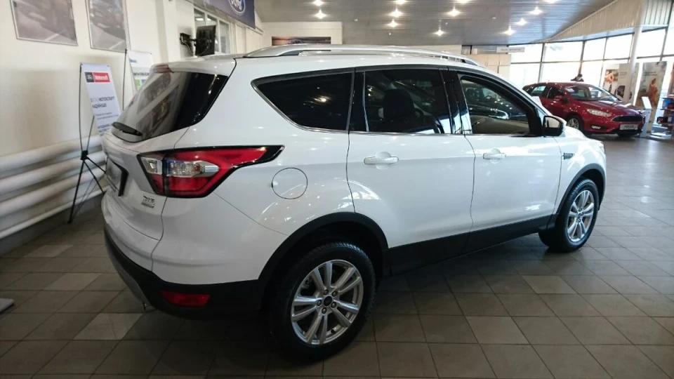 Ford Kuga Зубр - Бубр 2