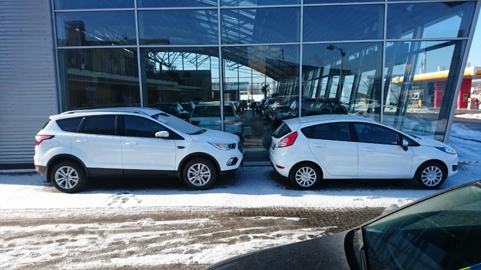 Ford Kuga Зубр - Бубр 3