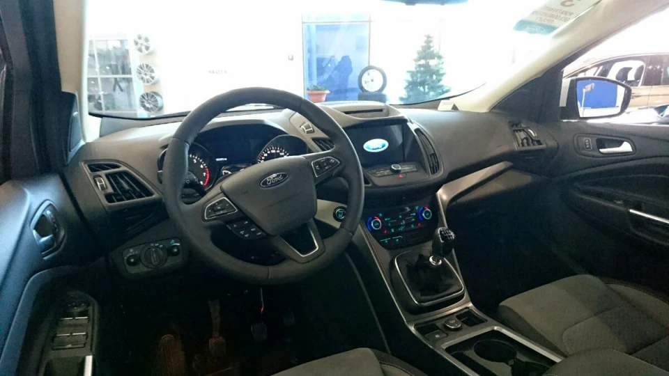 Ford Kuga Зубр - Бубр 4