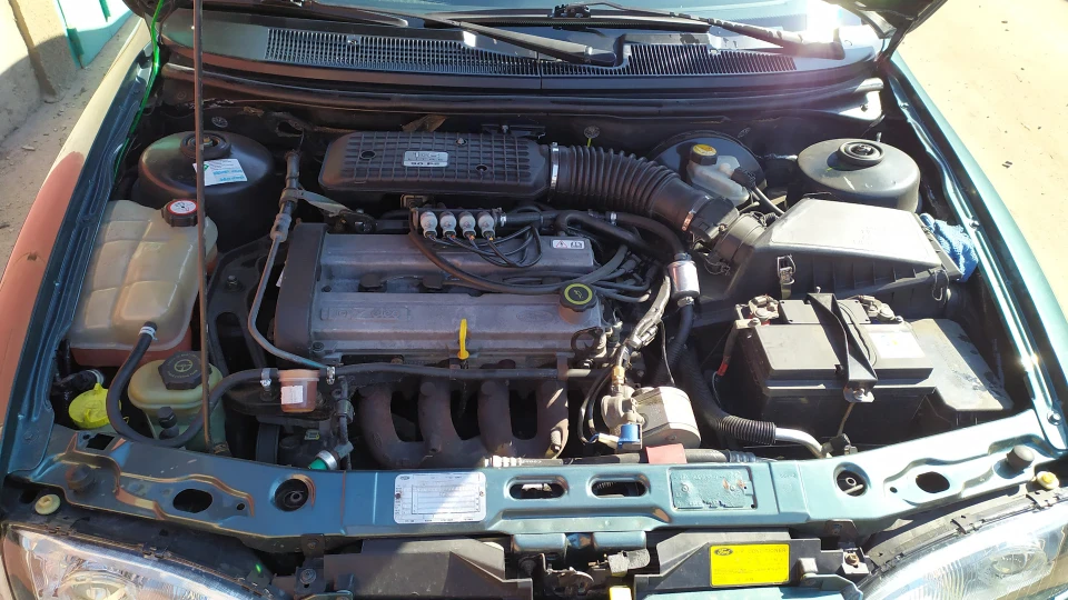 Ford Mondeo Зелена ластівка 4