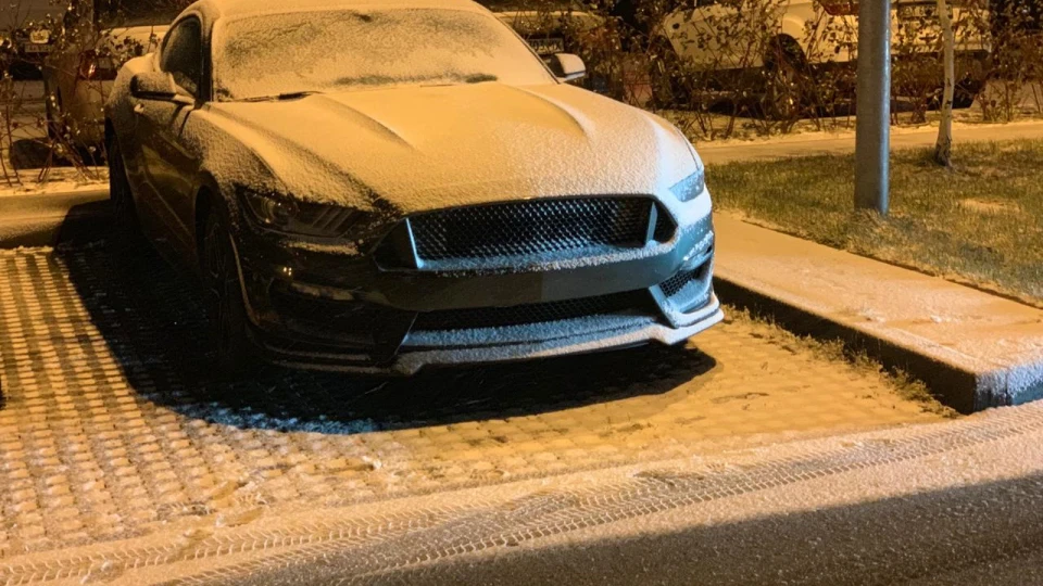 Ford Mustang 2