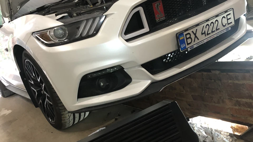 Ford Mustang 2 літри соку 4