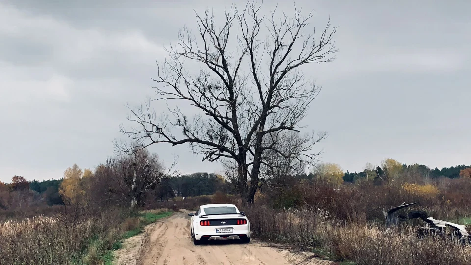 Ford Mustang 2.3 Turbo 3