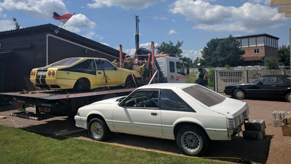 Ford Mustang Cobra (1980) 2