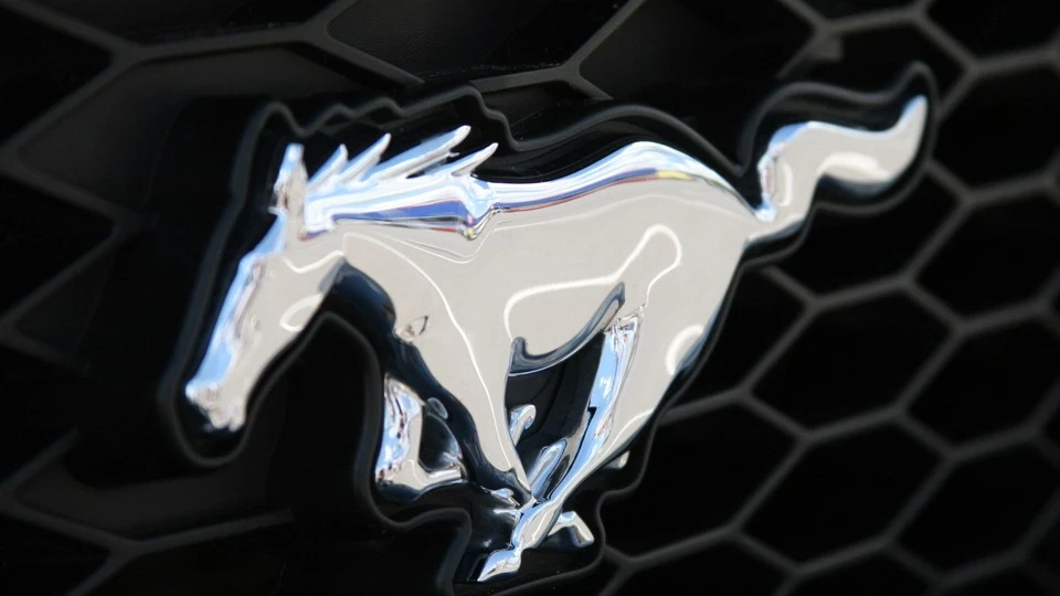 Ford Mustang GT SuperCharged 4