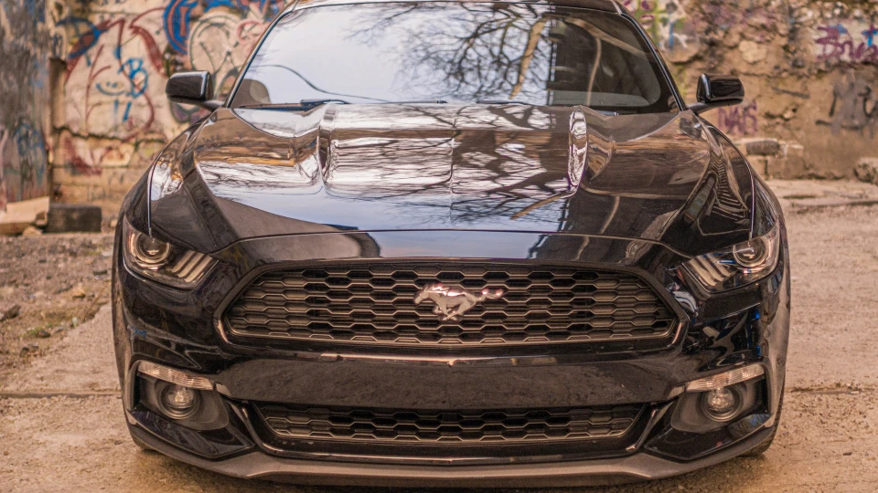 Ford Mustang Hotline