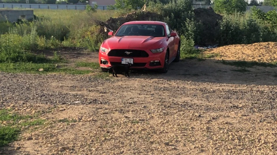 Ford Mustang Червоний та безпечний)))