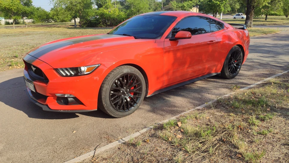 Ford Mustang Must 2