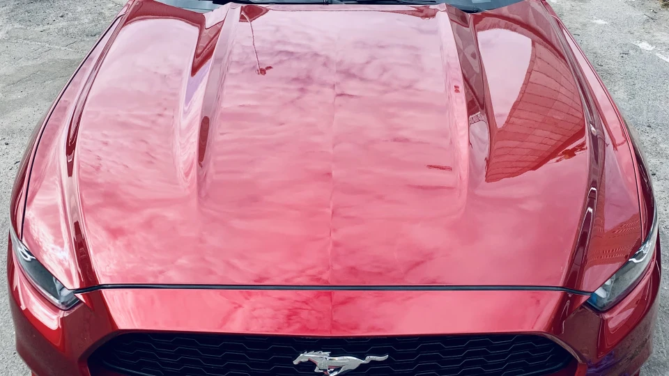 Ford Mustang RR 2