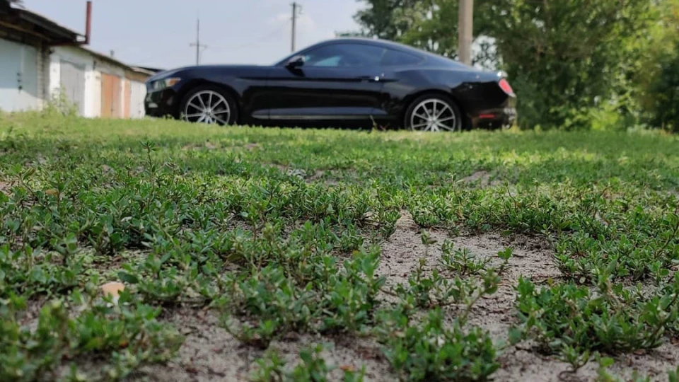 Ford Mustang Turbo boost black 3