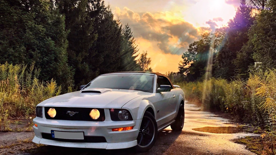 Ford Mustang V8 Stang