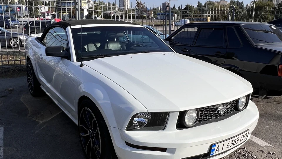 Ford Mustang White horse