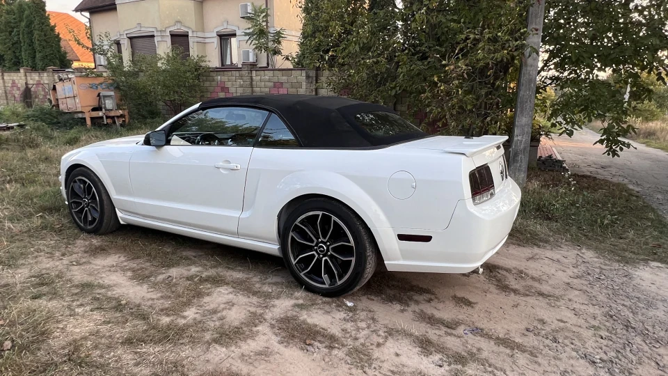 Ford Mustang White horse 3