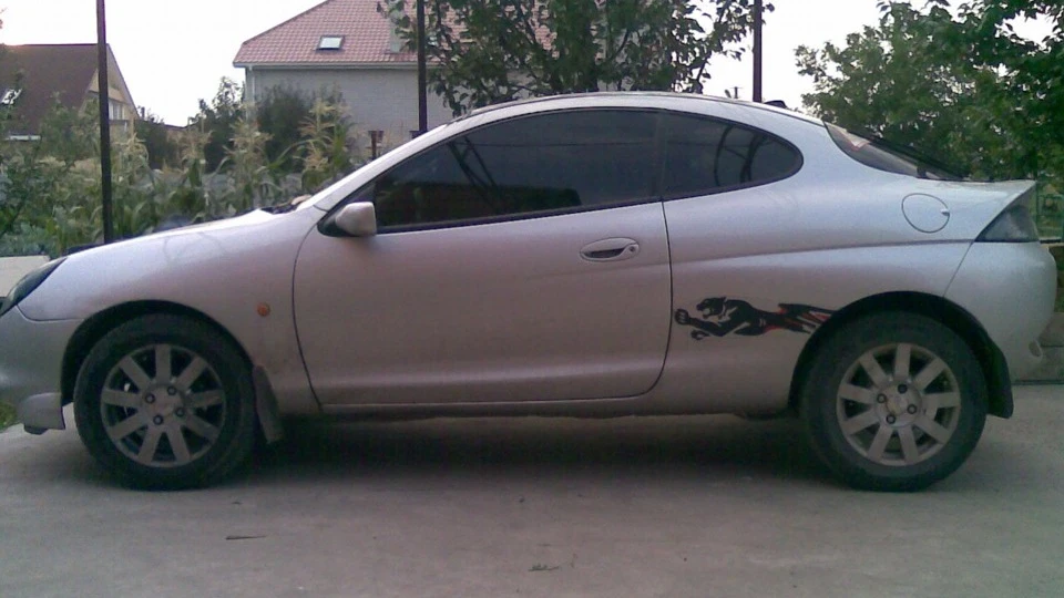 Ford Puma кішка міських джунглів 2