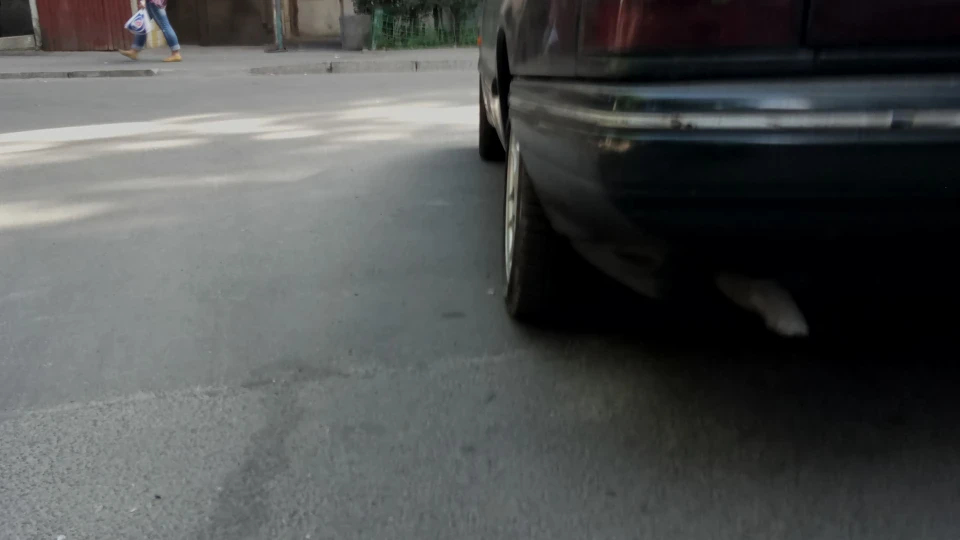Ford Scorpio Пляшка 2