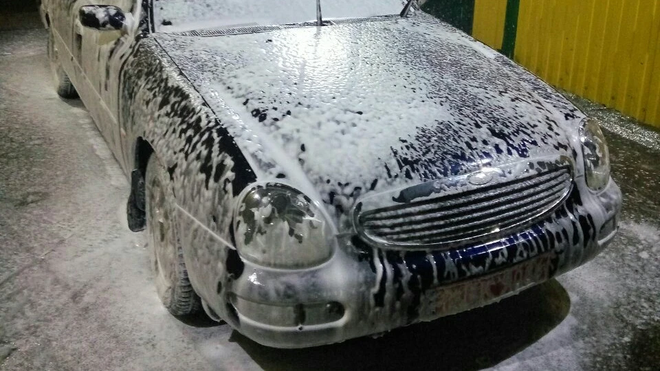 Ford Scorpio Luparick 2