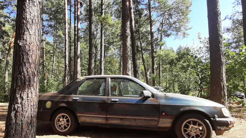 Ford Sierra 2.0 i OHC Rat Look 2