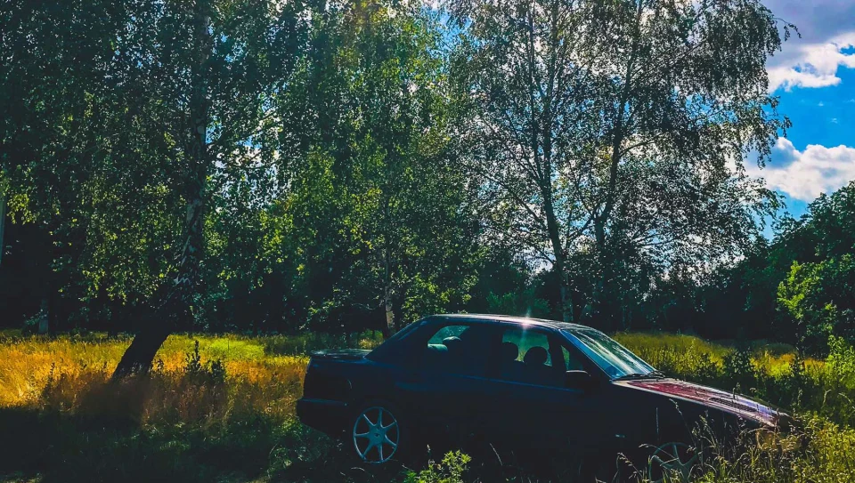 Ford Sierra Camellia 3