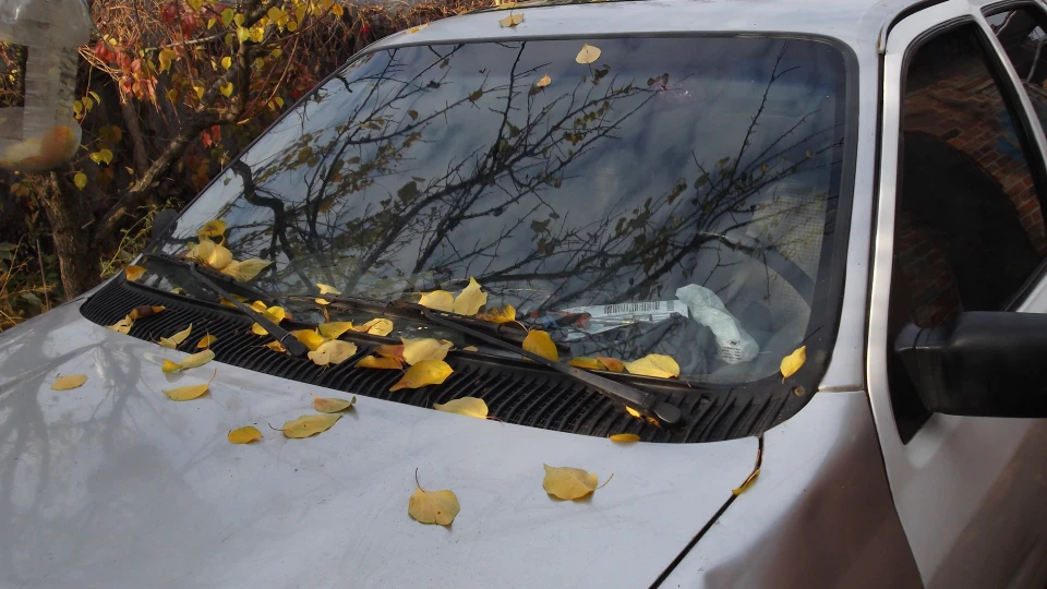 Ford Sierra Новий проект 2