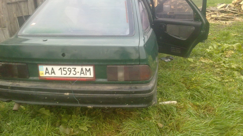 Ford Sierra Зелений дерево 2