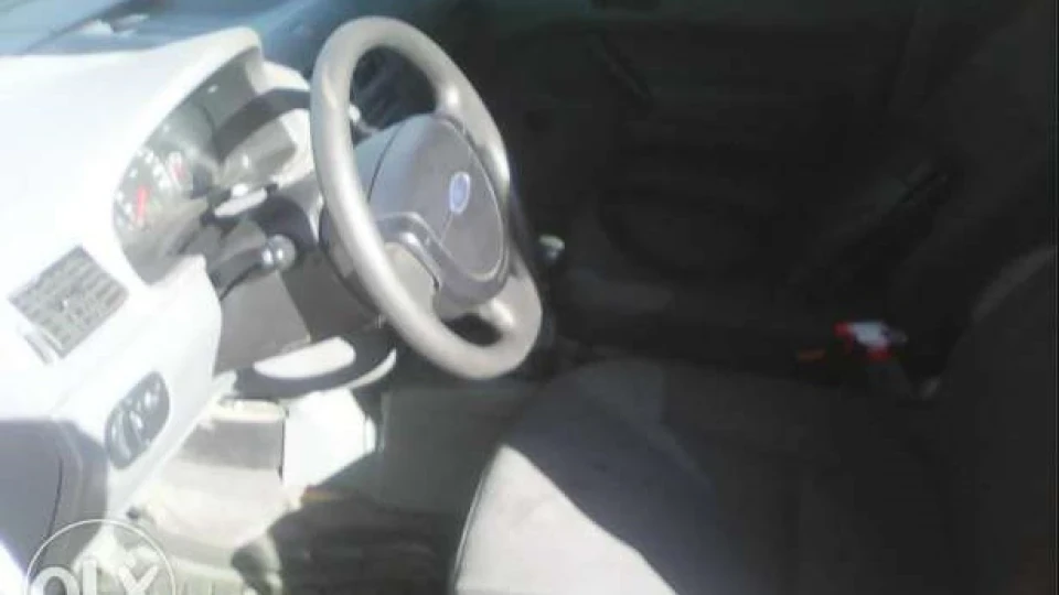 Ford Transit Connect Horse with Osteohandroze 3