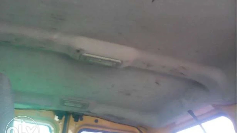 Ford Transit Connect Horse with Osteohandroze 4