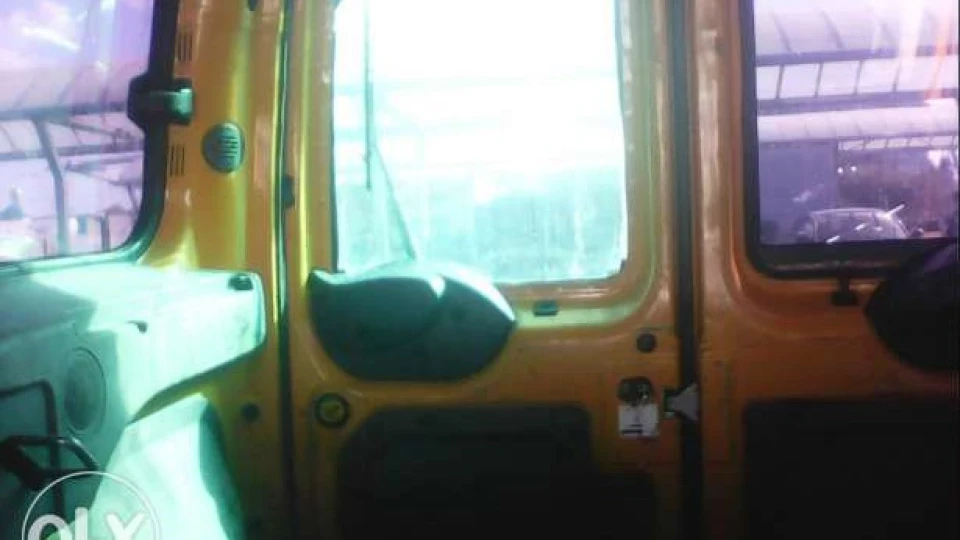 Ford Transit Connect Horse with Osteohandroze 5