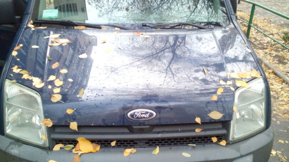 Ford Tourneo Connect 2