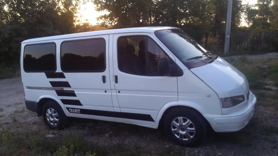 Ford Transit Бєлогривий поні 2