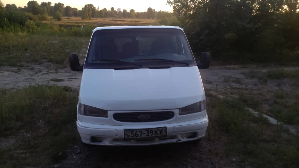 Ford Transit Бєлогривий поні 3