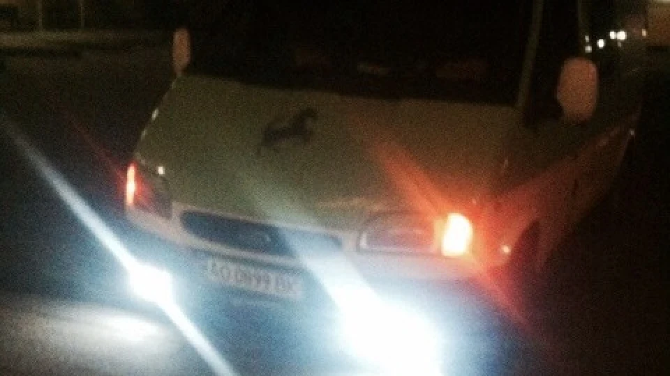 Ford Transit МІКС